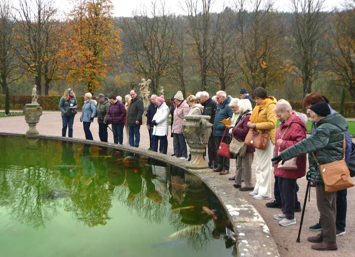 Ansicht Menschenmenge bestaunt Koi Zucht im Brunnen