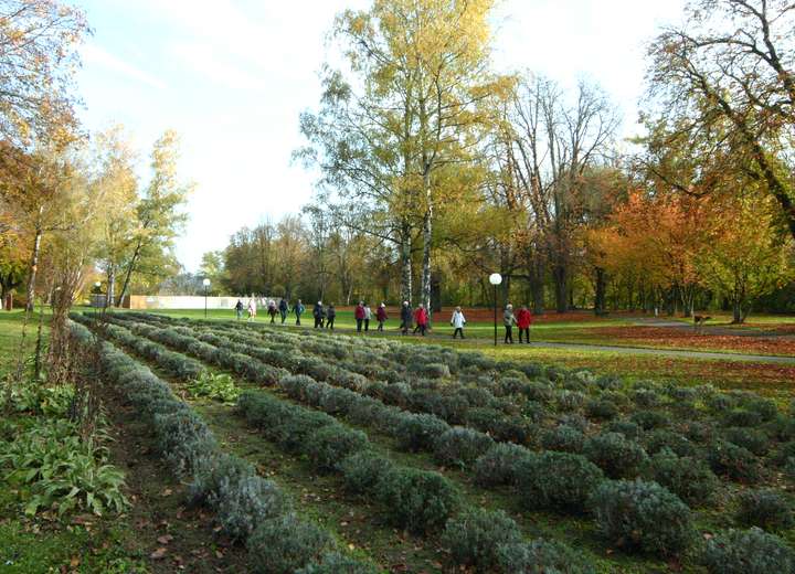 Beete, Bäume, Parklage