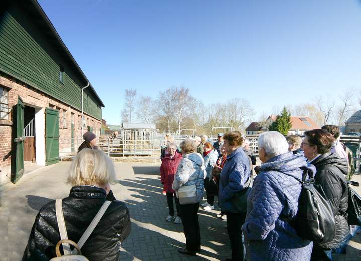 Gruppe Reisender hört aufmerksam der Führerin des Fohlenhofes bei ihrem Vortrag zu