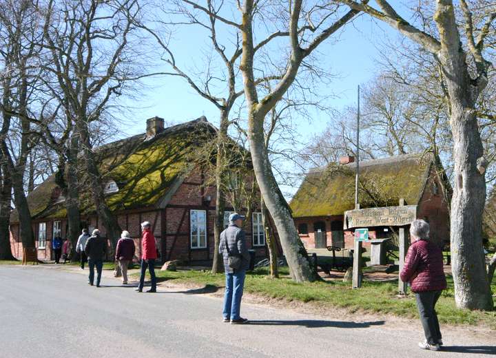 Blick auf moosgrüne Reetdächer des Forsthauses Rügen