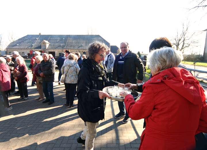 Gruppe Reisender greift bei der Verkostung von Stutenmilch zu, Milch wird in kleinen Plastikbechern gereicht