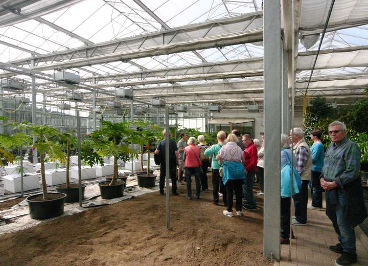 Menschengruppe hört aufmerksam dem Führer in der Gewächshausanlage zu