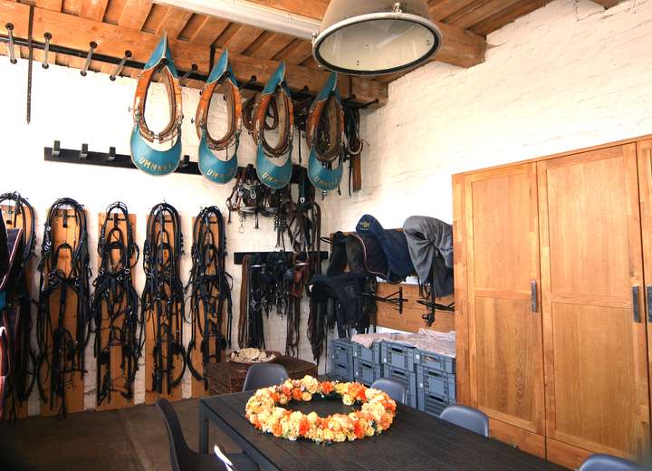 Blick in die Sattelkammer des Fohlenhofs mit Übungsgeschirr, Kandaren und diversen Jochs